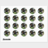 Sticker Rond Miniature Mare & Foies 2 (Feuille)