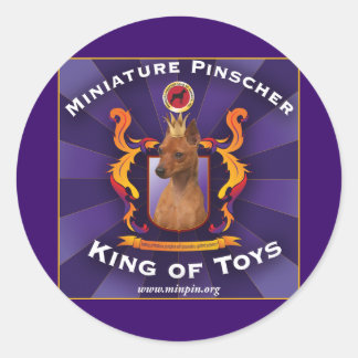 Sticker Rond Miniature Pinscher, roi des jouets