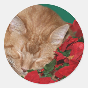 Sticker Rond Minou somnolent de Noël