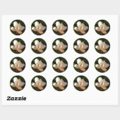 Sticker Rond Mississipi Magnolia (Feuille)