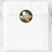 Sticker Rond Mississipi Magnolia (Sac)