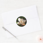 Sticker Rond Mississipi Magnolia (Enveloppe)