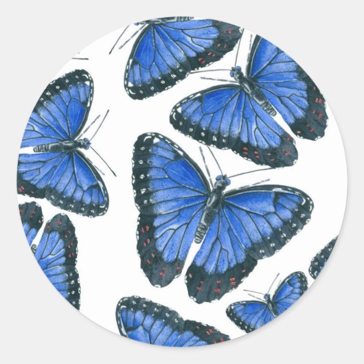 Sticker Rond Modèle motif de papillon bleu morpho (Devant)