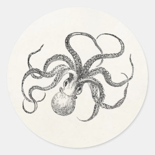 Sticker Rond Modèle Octopus vintage sur papier antique