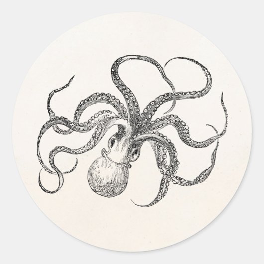 Sticker Rond Modèle Octopus vintage sur papier antique (Devant)