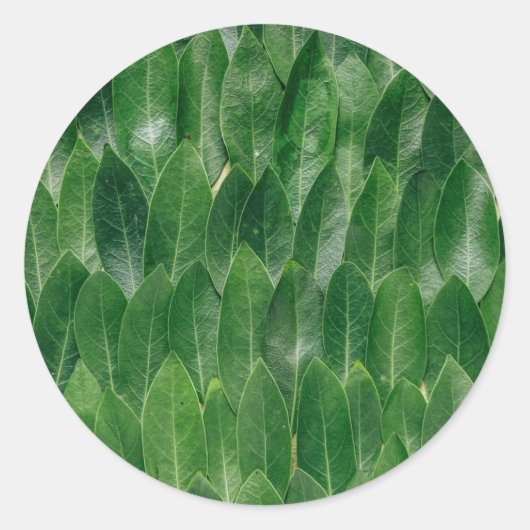 Sticker Rond Modèle vierge impression motif feuille verte (Devant)