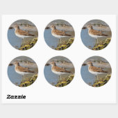 Sticker Rond Moins de Sandpiper sur les boudflats (Feuille)