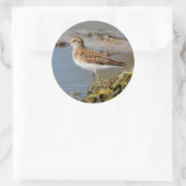 Sticker Rond Moins de Sandpiper sur les boudflats (Sac)