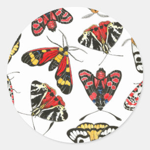 Sticker Rond Mois