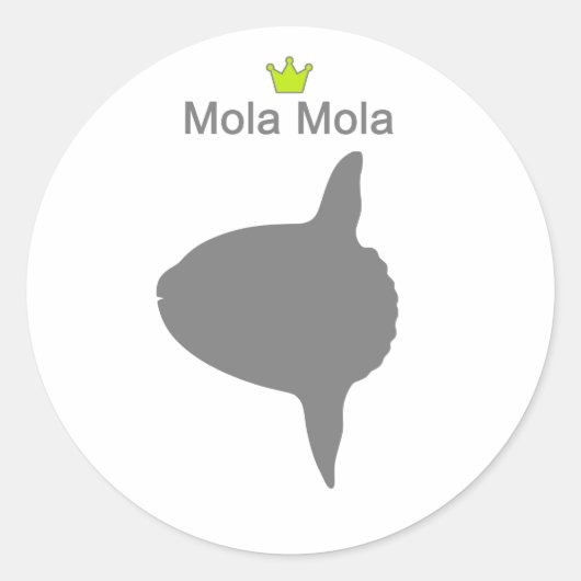 Sticker Rond Mola Mola g5 (Devant)
