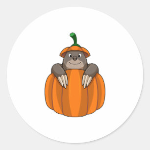 Sticker Rond Mole avec Citrouille