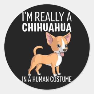 Sticker Rond Mon déguisement d'humain Je suis un chien Chihuahu