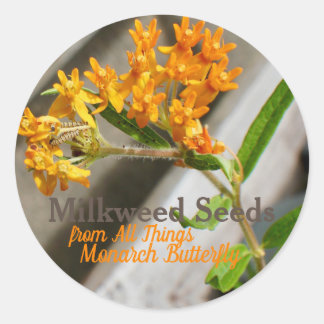 Sticker Rond Monarque