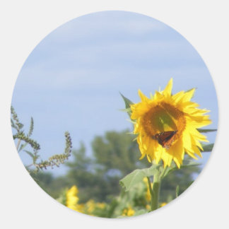 Sticker Rond Monarque de tournesol - Personnaliser !