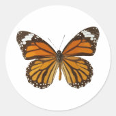 Sticker Rond Monarque papillon (Devant)