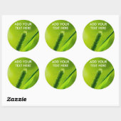 Sticker Rond Monde vert (Feuille)