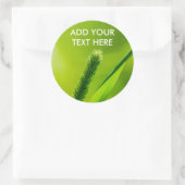 Sticker Rond Monde vert (Sac)