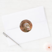 Sticker Rond Monkey business 2 (Enveloppe)