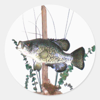 Sticker Rond Mont Crappie