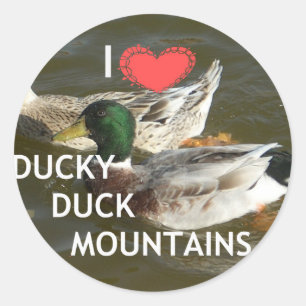 Sticker Rond Montagnes de canards.
