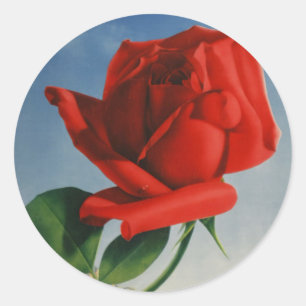 Sticker Rond Montreux vintage Rose rouge Suisse Lac Léman