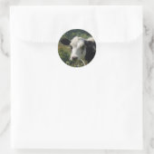 Sticker Rond Moo (Sac)