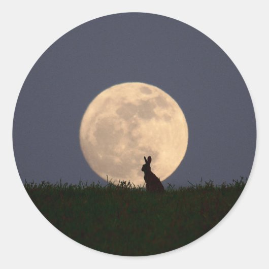 Sticker Rond Moongazer.JPG (Devant)