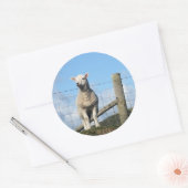 STICKER ROND MOQUETTE (Enveloppe)