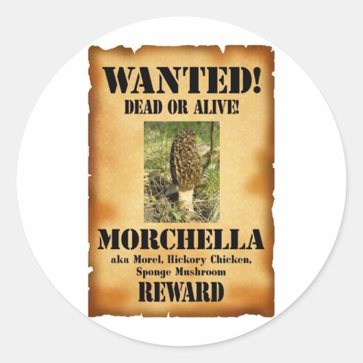 Sticker Rond Morel - Poster Recherché (Devant)