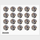 Sticker Rond Morels Gris, Champignons Morel (Feuille)