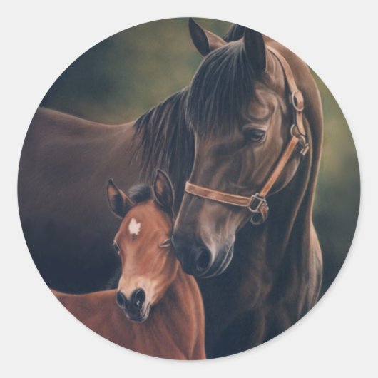 Sticker Rond Morgan Mare et Foal (Devant)