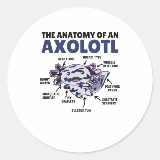 Sticker Rond Mosaïque Axolotl Explication Anatomie D'Un Axolotl (Devant)