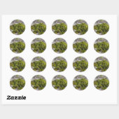 Sticker Rond Mossy Broken Headstone (Feuille)