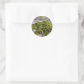 Sticker Rond Mossy Broken Headstone (Sac)