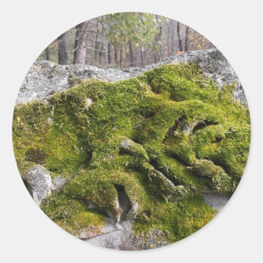 Sticker Rond Mossy Broken Headstone (Devant)