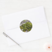 Sticker Rond Mossy Broken Headstone (Enveloppe)