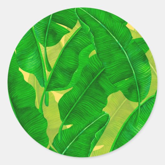 Sticker Rond Motif d'aquarelle feuille Banana (Devant)