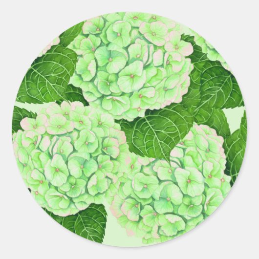 Sticker Rond Motif d'aquarelle Hydrangea (Devant)