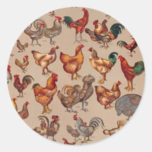 Sticker Rond Motif de coq poulet vintage : Art de ferme