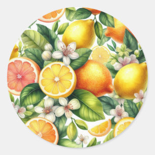 Sticker Rond Motif de fruits d'agrumes à l'aquarelle