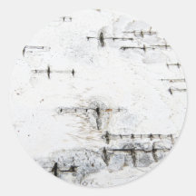 Motif d'écorce de bouleau