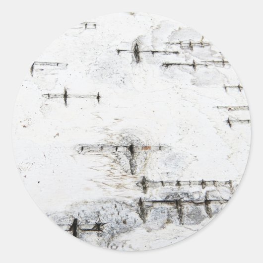 Sticker Rond Motif d'écorce de bouleau (Devant)