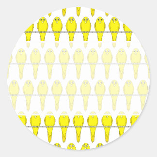 Sticker Rond Motif d'oiseaux jaunes. Canaries.