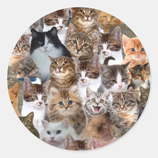 Sticker Rond Motif Visages de chat (Devant)
