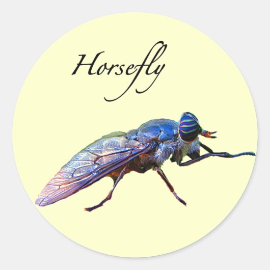 Sticker Rond Mouche (Devant)