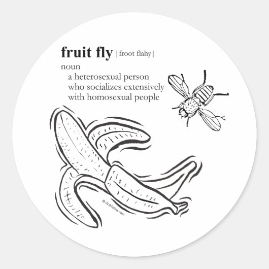STICKER ROND MOUCHE DE LA FRUIT (Devant)