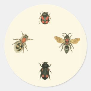 Sticker Rond Mouches et coléoptères par Vision Studio