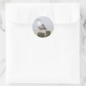 Sticker Rond Mouette (Sac)