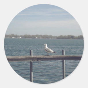 Sticker Rond Mouette Au Bord Du Lac