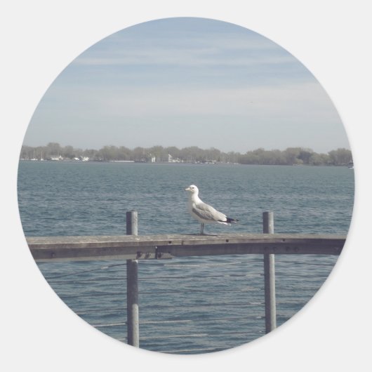 Sticker Rond Mouette Au Bord Du Lac (Devant)